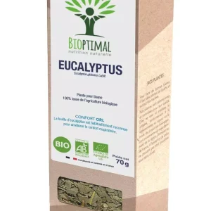 Eucalyptus Plant for Organic Herbal Tea 70g