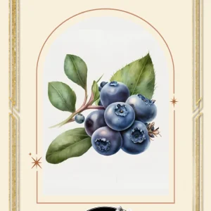 Tepåsar Barndomsminnen/Blåbär - smaksatt te - Svart Te