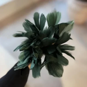 12-pack Fjäderblommor, Mörkgrön