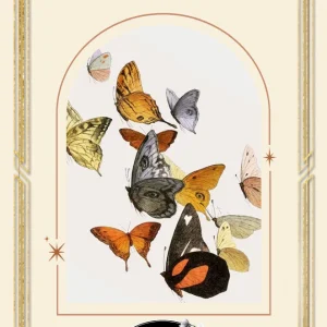 Tepåsar - Fikapaus - smaksatt te - Svart Te