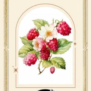 Tepåsar - Hallon Magi - smaksatt te - Svart Te