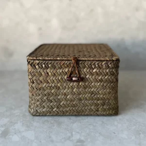 Agnes Korg med Lock, Liten