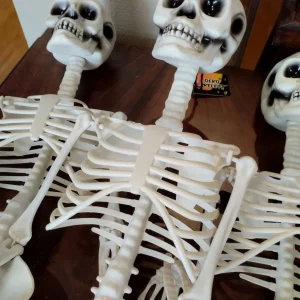 Dekorativt Skelett, Hängande, 80x20 cm