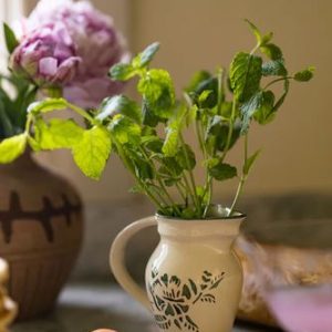 Kanna Grön Blomma Liten 0,3 Liter