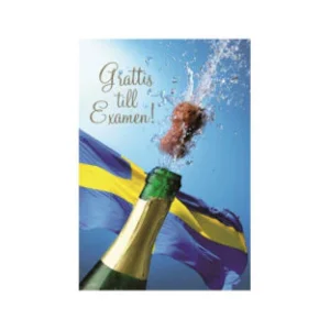 Gratulationskort - Grattis till Examen - inkl. kuvert